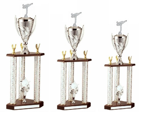Engraved silver martial arts - martial, 2