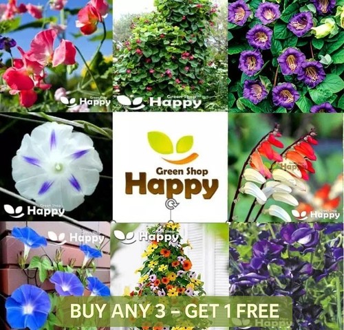 Climbing flowers mix 3gr - climbing,
