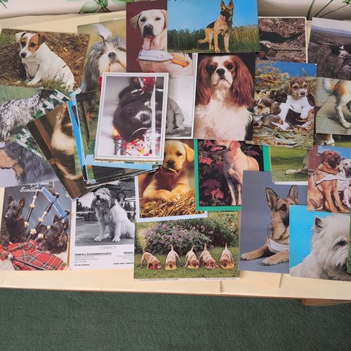 Joblot various dog postcards - various,