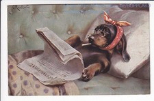 ARTIST CARD, DACHSHUND