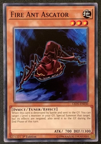 Fire ant ascator - fire,