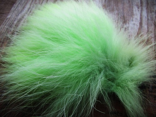 Ifs fin raccoon - raccoon, fur