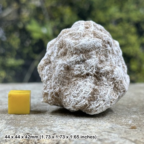 Gypsum desert rose - desert,