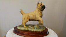 Border fine arts cairn terrier