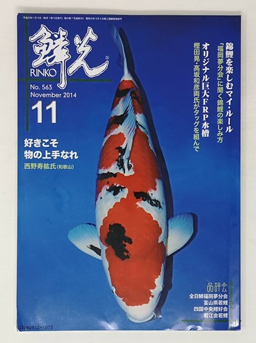 Koi carp rinko - koi, 2014