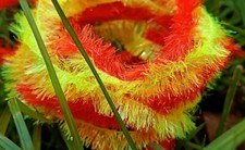 Tequila blob Fritz 50/50 Combo