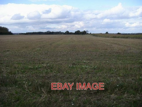 Photo field hares leap - photo,