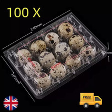 100X Quail Egg Box Plastic