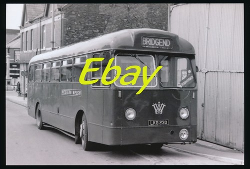 Bus photo leyland tiger - bus, cub