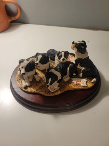 Royal osborne pair puppy - royal, of
