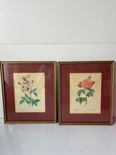 Framed Botanical Art Print