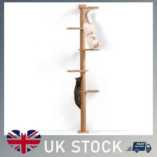Cat tree tier floor - cat, to
