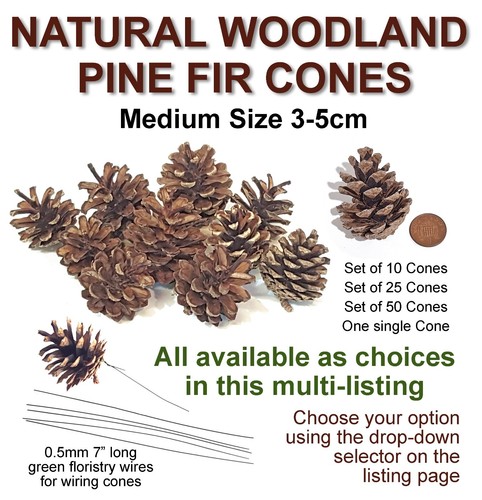 Medium real pine - medium, cones