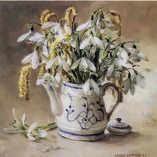 Anne cotterill blank - cotterill,