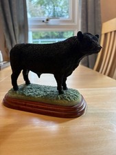 Border Fine Arts Galloway Bull