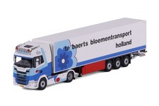 Cavallino Models | 20-1309 Te