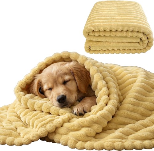 Emotional support blanket - emotional,