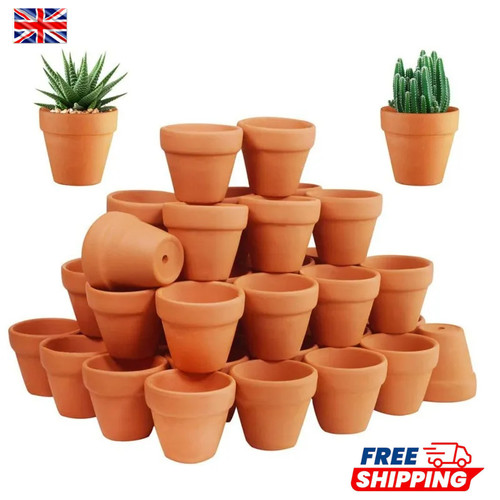 50pcs mini terracotta clay - 50pcs,