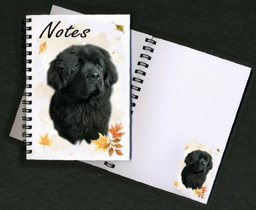 Newfoundland dog - newfoundland,