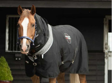 EQUILIBRIUM MAGNETIC RUG (6