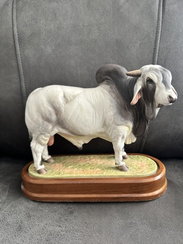 Royal worcester brahman - brahman, bull