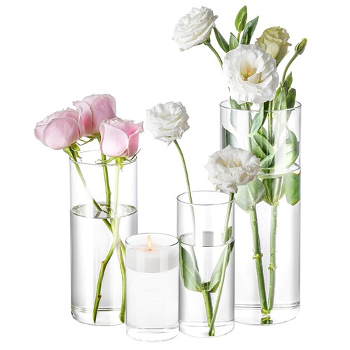 Pack glass cylinder vases - pack,