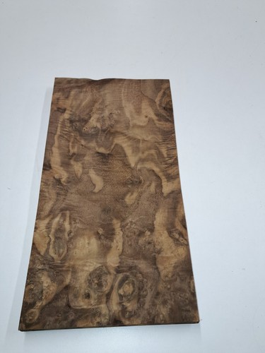 Burr walnut veneer 1 natural - burr,