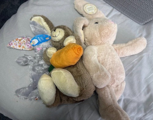 Plush rabbit soft toy bundle - plush,