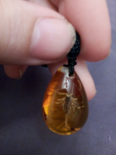 Amber with golden black - black, backed