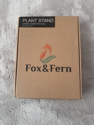 Fox fern plant - fern,