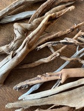 Driftwood  x15 delicate wands of bogwood for,  vivarium , crafts or Display