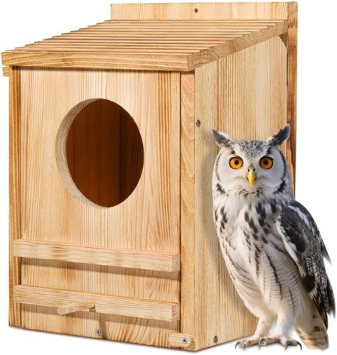 Barn owl house - barn,
