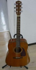FENDER DG20S NAT