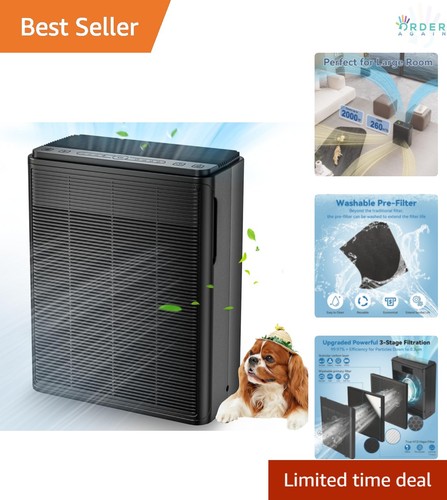 Large room air purifier - room,
