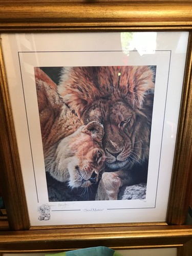 Stephen gayford signed limited - gayford,