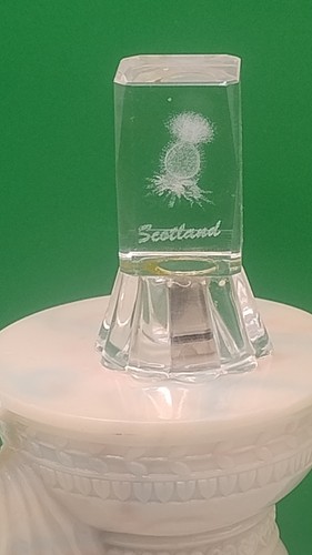 Light scotland thistle - light,