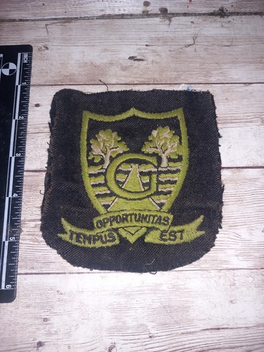 Vintage greenway school - , badge