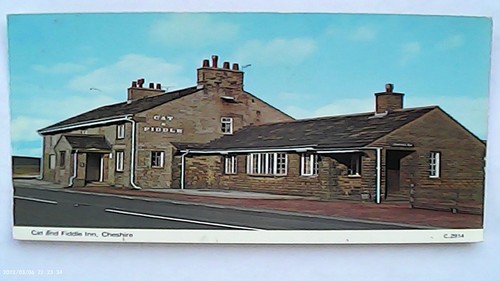 Postcard cat and fiddle - fiddle, inn