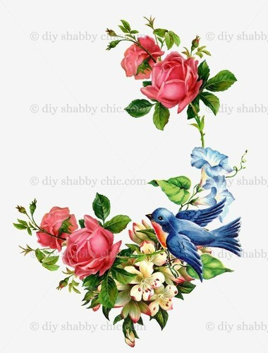 Waterslide decal image - waterslide,