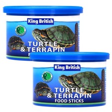 King British Turtle and