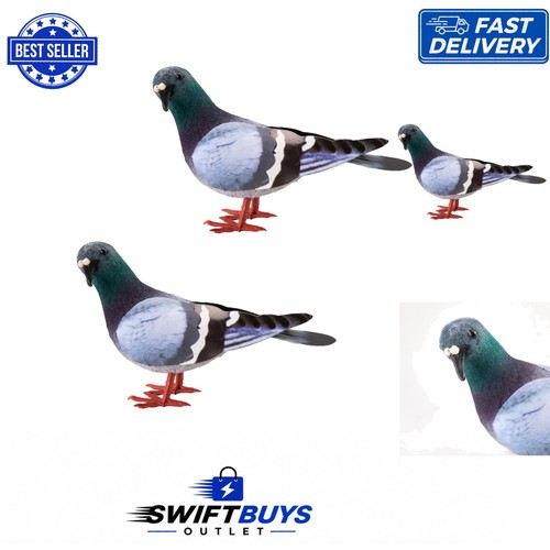 Adorable foam pigeon - adorable,