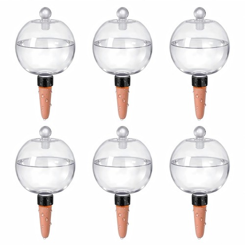 Large plant watering globes - ex-large,
