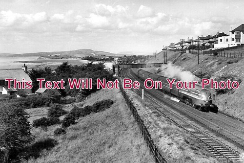 6755 coronation scot - -,