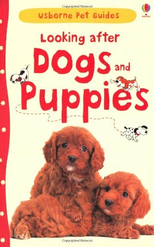 Looking after dogs puppies - after, &