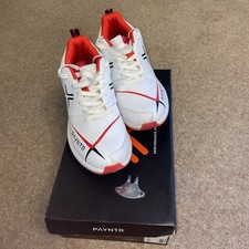 Payntr V Cricket Spikes /
