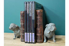Bulldog Bookends - 7912