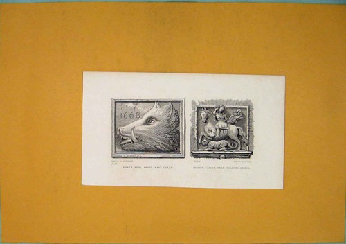 Old antique print boars head - print,