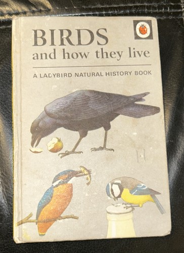 Ladybird birds how they - ladybird,