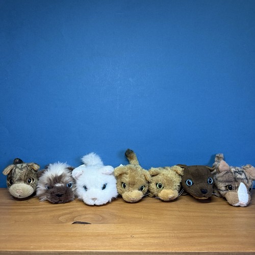 The cats artist - artist, collection