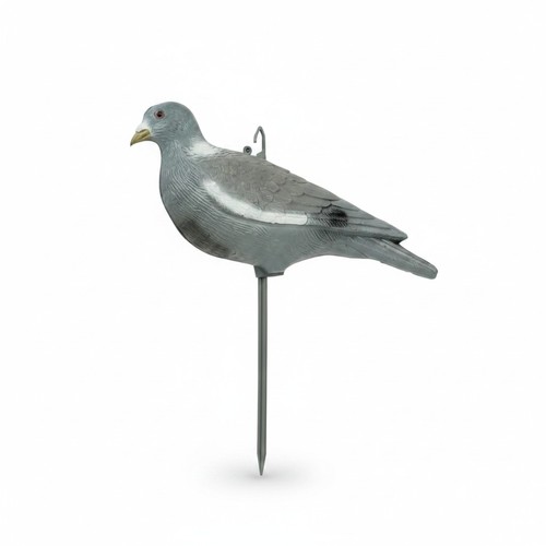 Painted full body pigeon - painted,